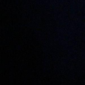 Meet your Posher, Darci